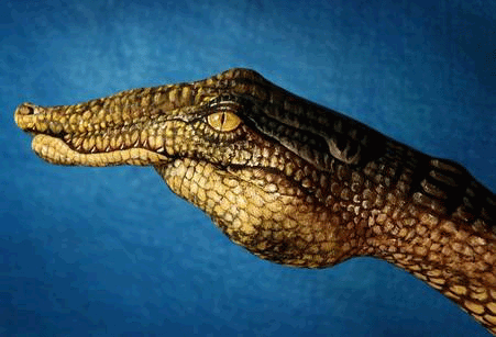 hand-art-alligator.gif