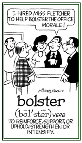 another word for bolster