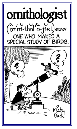 A person who specializes in studying birds.