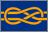 Vexillological Association flag
