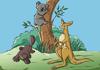 Animals from Australia or examples of zoogeography.