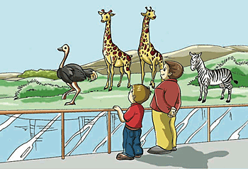 A scene at a zoo or zoological garden.