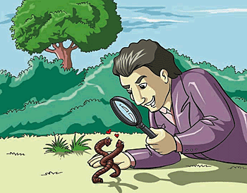 A zoologist is observing the biological activities of worms.